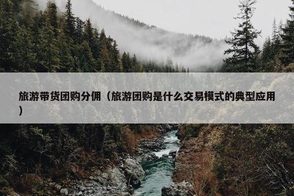 旅游带货团购分佣（旅游团购是什么交易模式的典型应用）