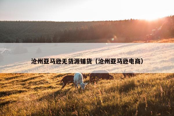 沧州亚马逊无货源铺货（沧州亚马逊电商）