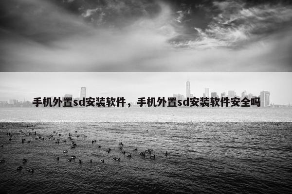 手机外置sd安装软件，手机外置sd安装软件安全吗