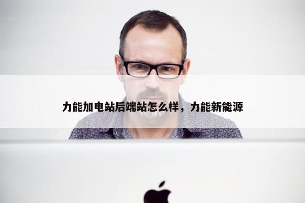 力能加电站后端站怎么样，力能新能源