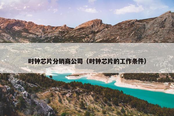 时钟芯片分销商公司（时钟芯片的工作条件）
