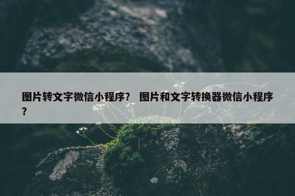 图片转文字微信小程序？ 图片和文字转换器微信小程序？
