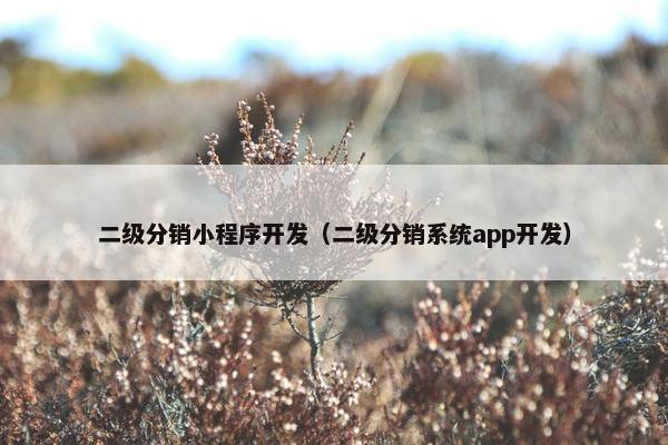 二级分销小程序开发（二级分销系统app开发）