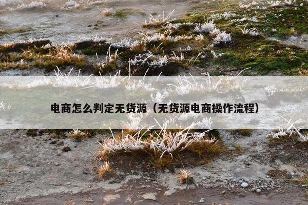 电商怎么判定无货源（无货源电商操作流程）