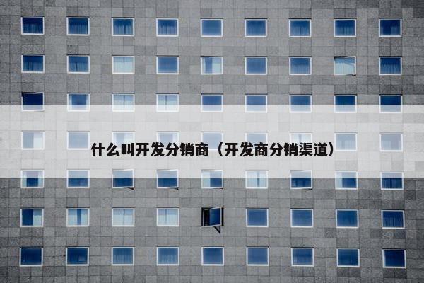 什么叫开发分销商（开发商分销渠道）
