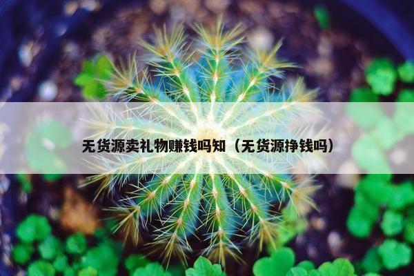 无货源卖礼物赚钱吗知（无货源挣钱吗）