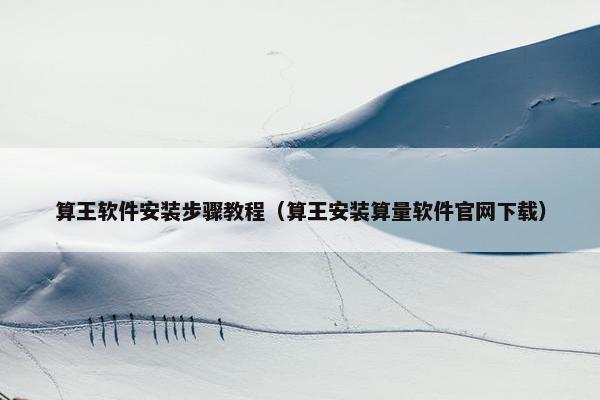 算王软件安装步骤教程（算王安装算量软件官网下载）
