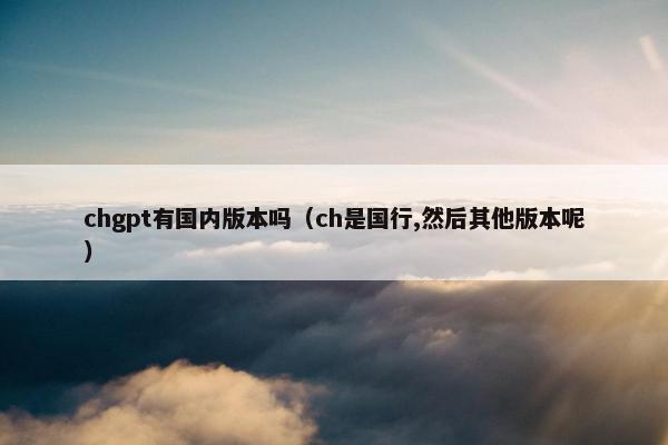 chgpt有国内版本吗（ch是国行,然后其他版本呢）