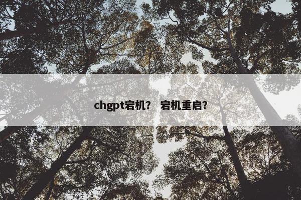 chgpt宕机？ 宕机重启？