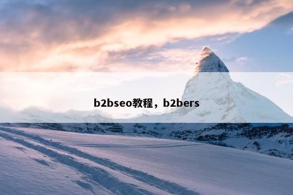 b2bseo教程，b2bers