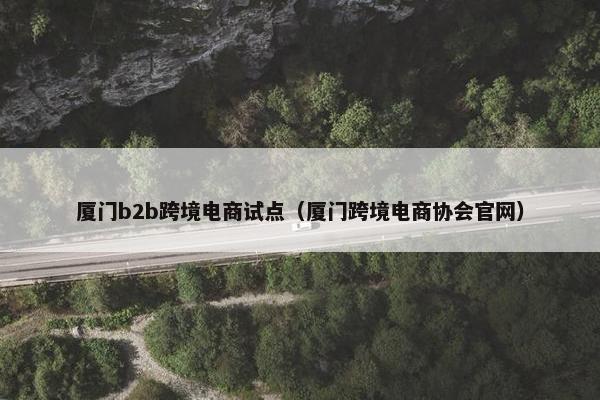 厦门b2b跨境电商试点（厦门跨境电商协会官网）