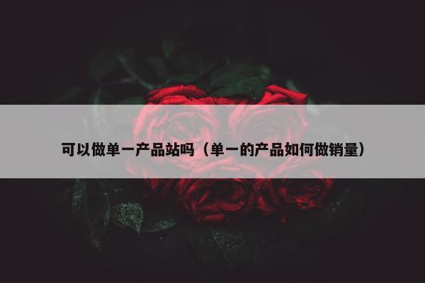 可以做单一产品站吗（单一的产品如何做销量）