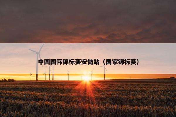 中国国际锦标赛安徽站（国家锦标赛）