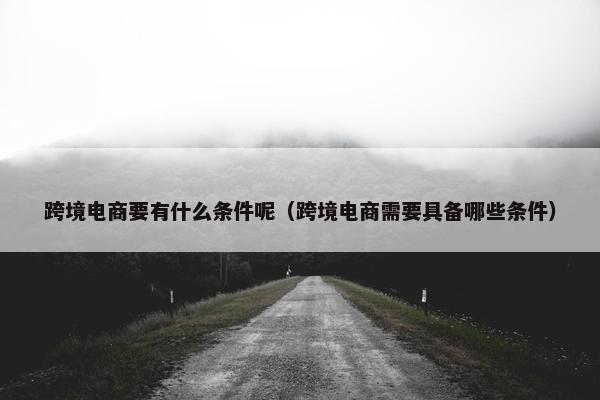 跨境电商要有什么条件呢（跨境电商需要具备哪些条件）