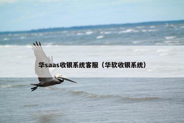 华saas收银系统客服（华软收银系统）