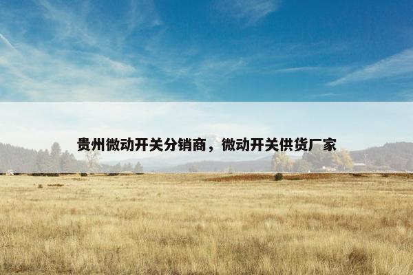 贵州微动开关分销商，微动开关供货厂家