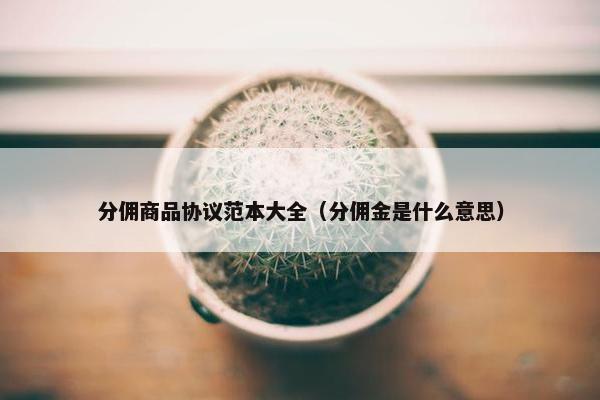 分佣商品协议范本大全（分佣金是什么意思）