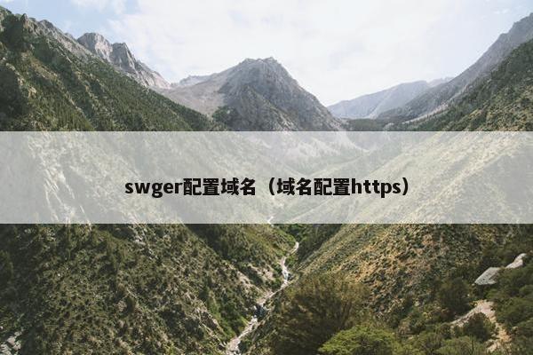 swger配置域名（域名配置https）