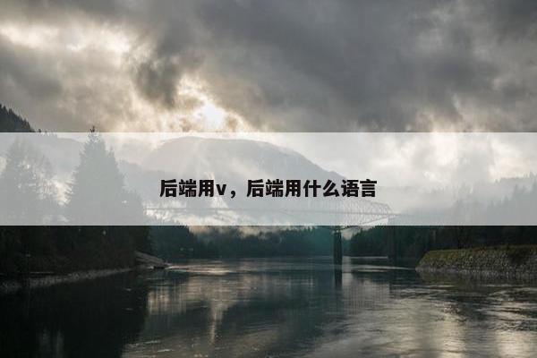 后端用v，后端用什么语言