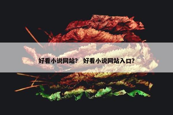 好看小说网站？ 好看小说网站入口？