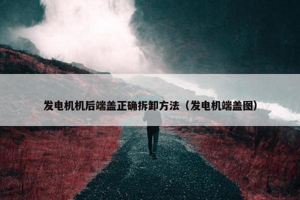 发电机机后端盖正确拆卸方法（发电机端盖图）