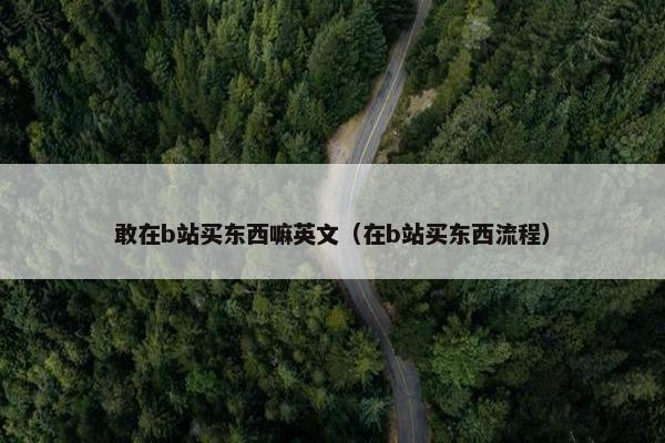 敢在b站买东西嘛英文（在b站买东西流程）