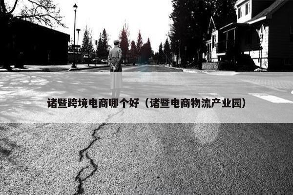 诸暨跨境电商哪个好（诸暨电商物流产业园）
