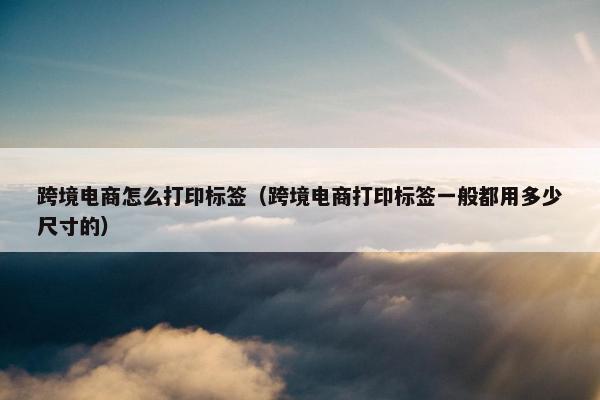 跨境电商怎么打印标签（跨境电商打印标签一般都用多少尺寸的）