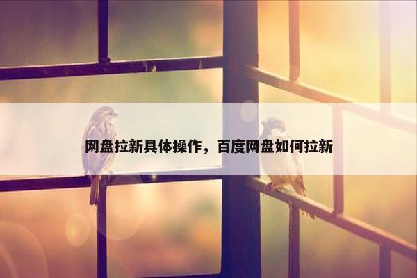 网盘拉新具体操作，百度网盘如何拉新