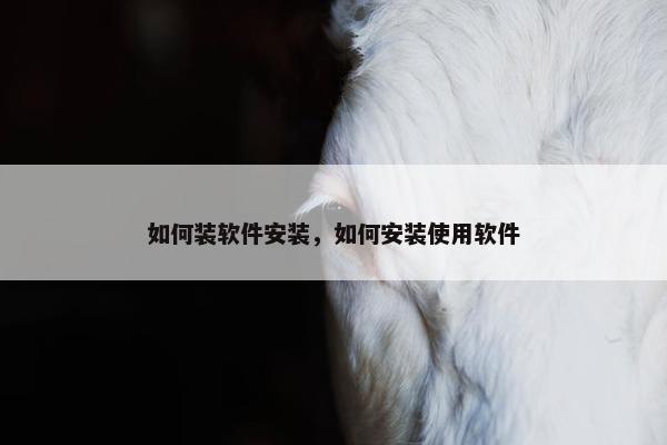 如何装软件安装，如何安装使用软件