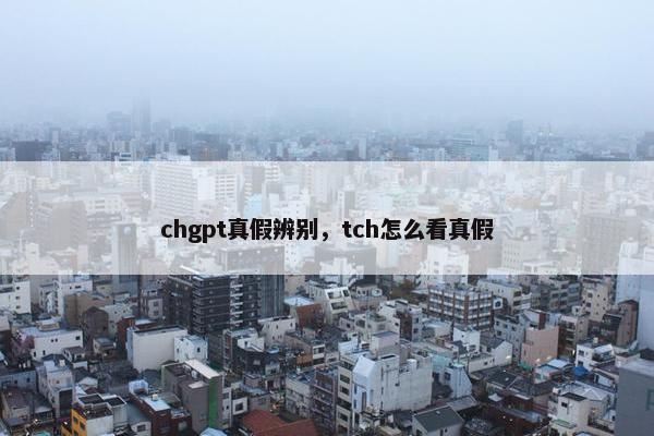 chgpt真假辨别，tch怎么看真假