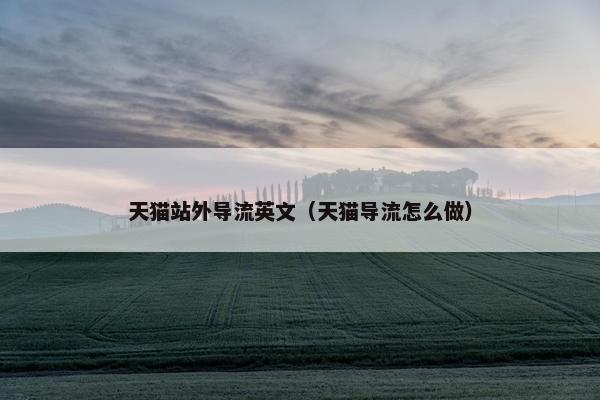 天猫站外导流英文（天猫导流怎么做）