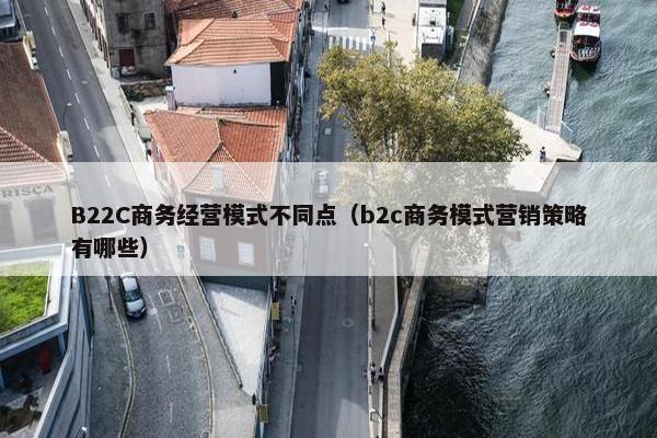 B22C商务经营模式不同点（b2c商务模式营销策略有哪些）