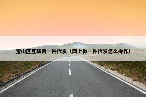 宝山区互联网一件代发（网上做一件代发怎么操作）