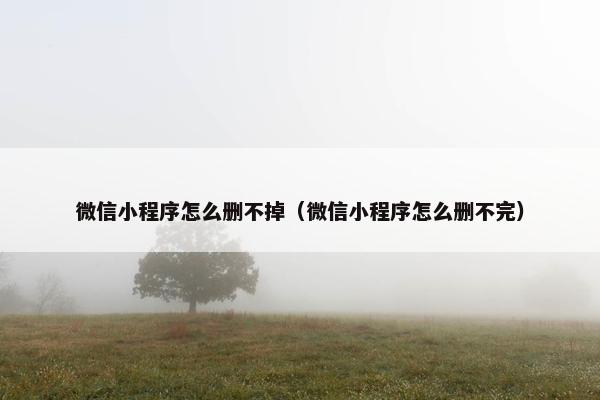 微信小程序怎么删不掉（微信小程序怎么删不完）