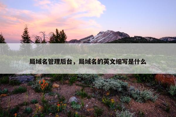 局域名管理后台，局域名的英文缩写是什么