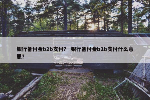 银行备付金b2b支付？ 银行备付金b2b支付什么意思？