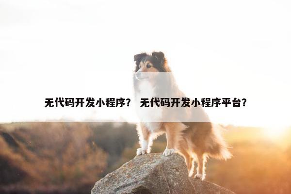 无代码开发小程序？ 无代码开发小程序平台？