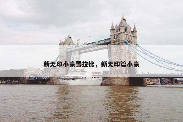 新无印小豪雪拉比，新无印篇小豪