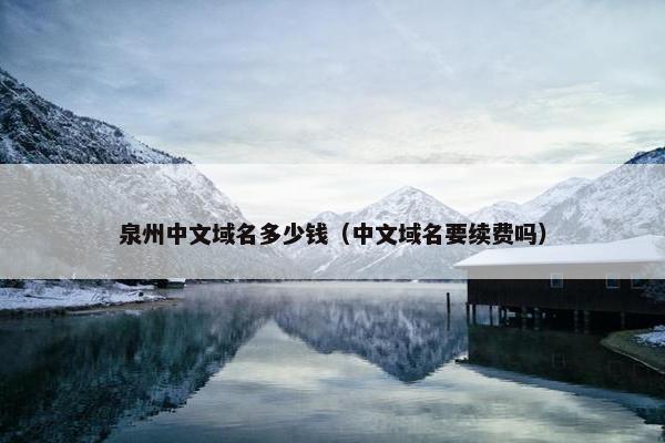泉州中文域名多少钱（中文域名要续费吗）