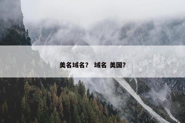美名域名？ 域名 美国？