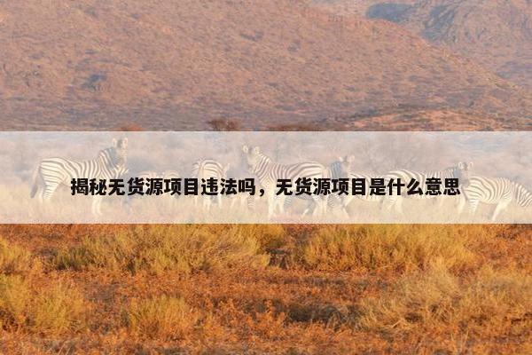揭秘无货源项目违法吗，无货源项目是什么意思