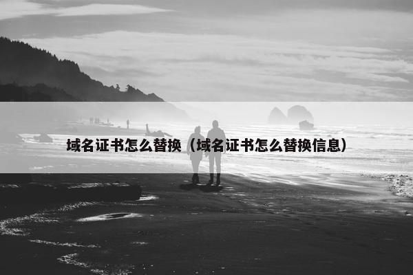 域名证书怎么替换（域名证书怎么替换信息）