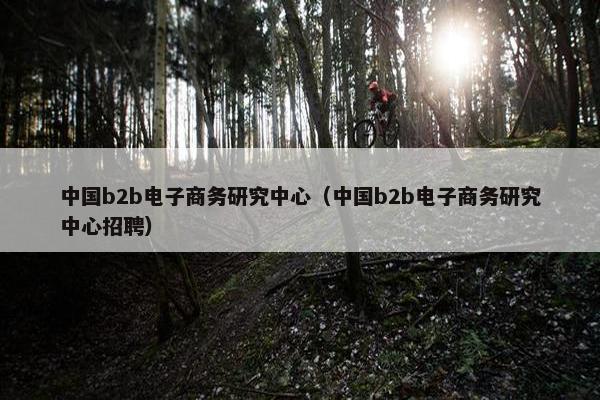 中国b2b电子商务研究中心（中国b2b电子商务研究中心招聘）
