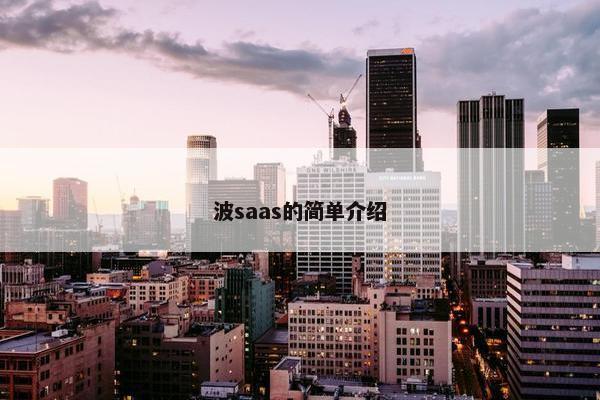 波saas的简单介绍