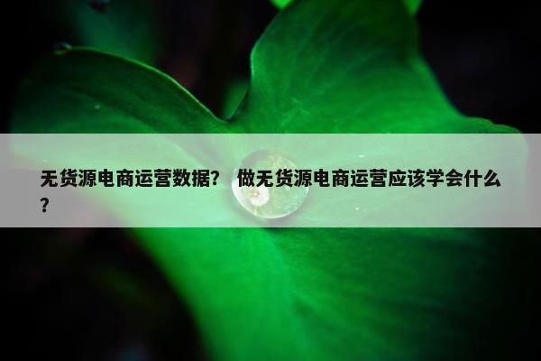 无货源电商运营数据？ 做无货源电商运营应该学会什么？