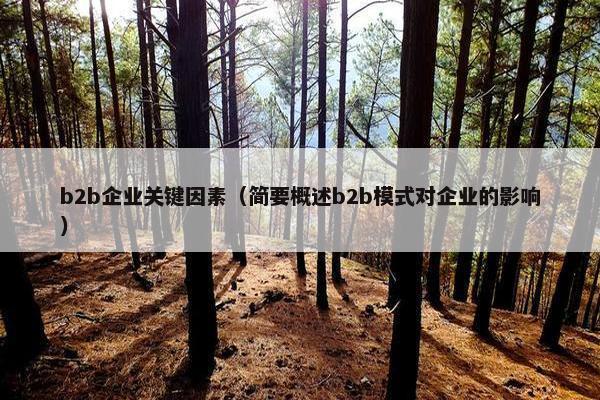 b2b企业关键因素（简要概述b2b模式对企业的影响）