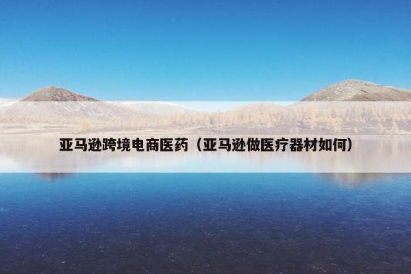 亚马逊跨境电商医药（亚马逊做医疗器材如何）