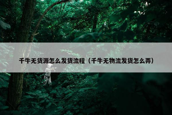 千牛无货源怎么发货流程（千牛无物流发货怎么弄）