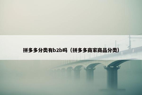 拼多多分类有b2b吗（拼多多商家商品分类）